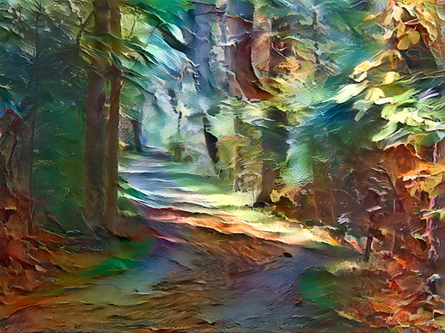 The Old Forest Path