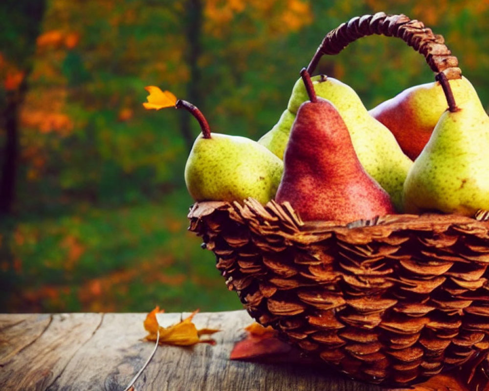 Ripe pears in pinecone basket on wooden surface with autumn background