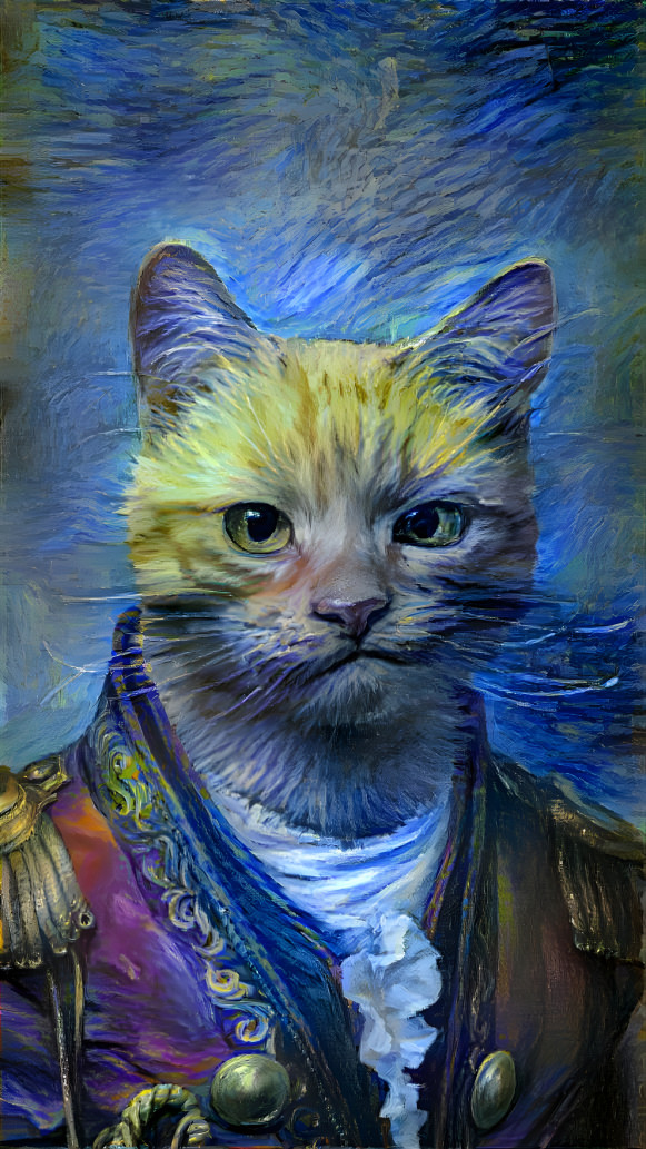 Fantasy cat