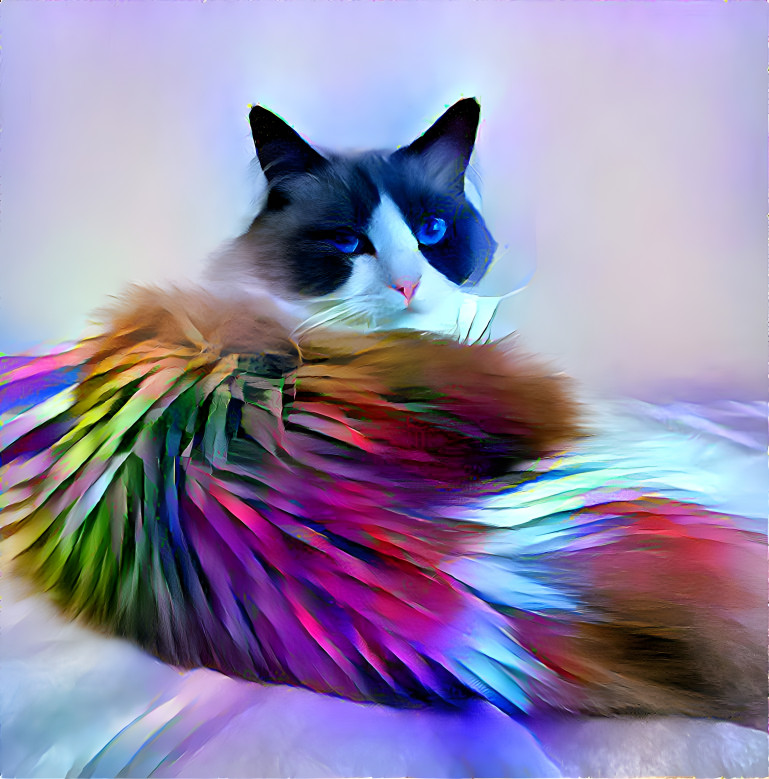 Rainbow cat 