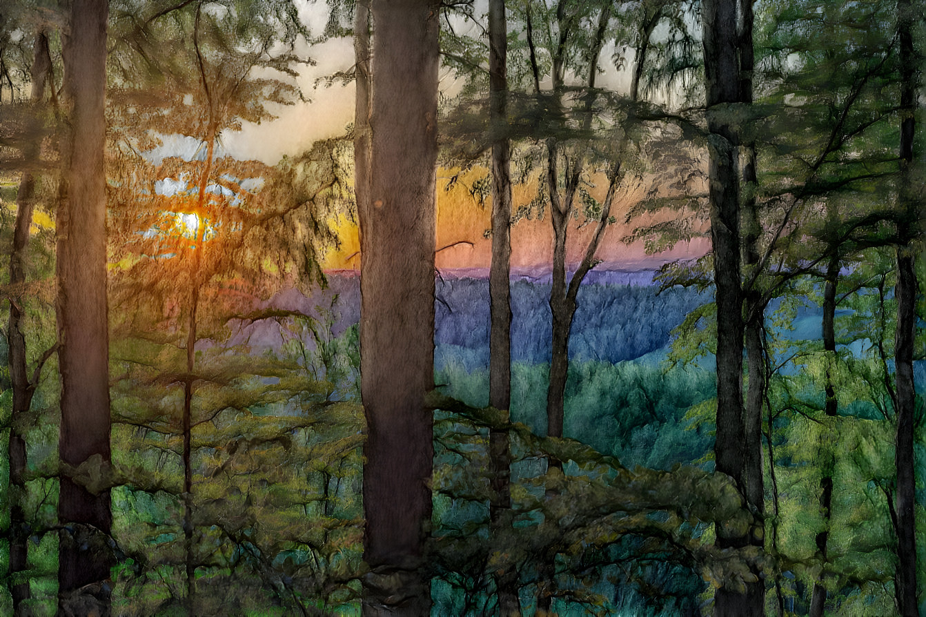 "Sunset In The Pines"
