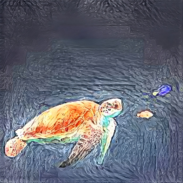 Turtle's Dream