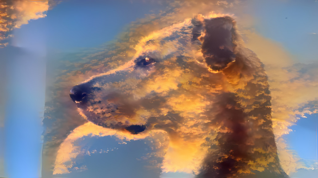 Cloud Dog