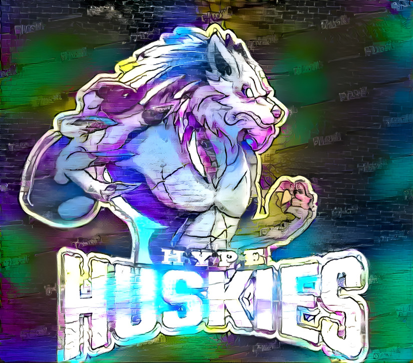 Hype Huskies