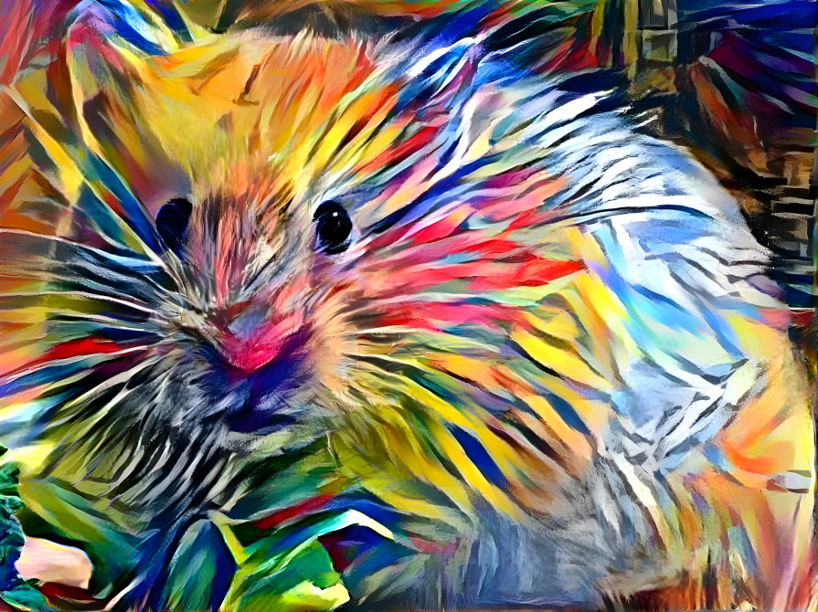 Colorful hamster