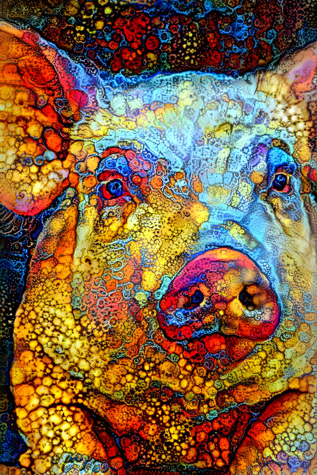 Cute colorful pig