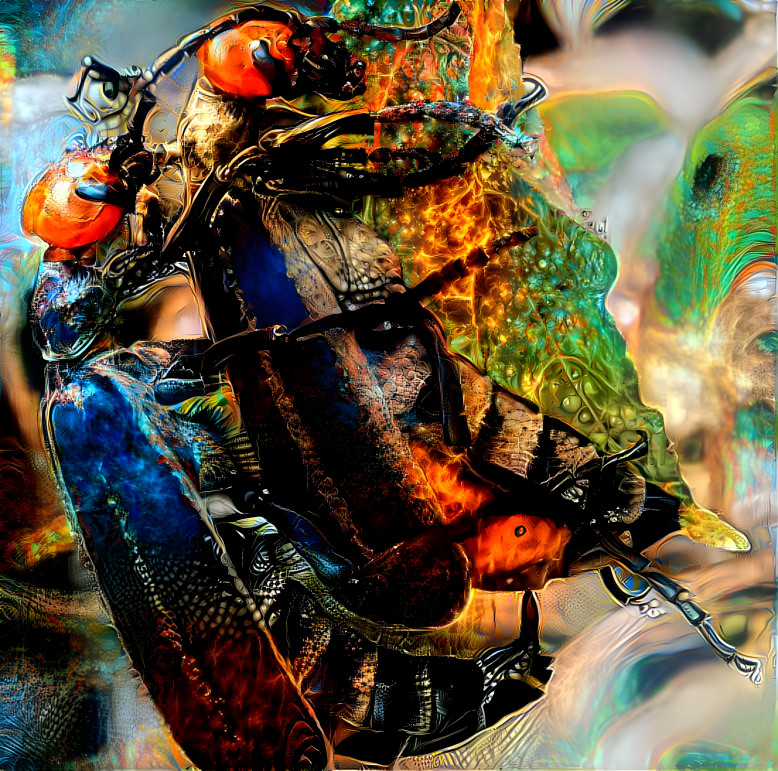 Blister beetles mating