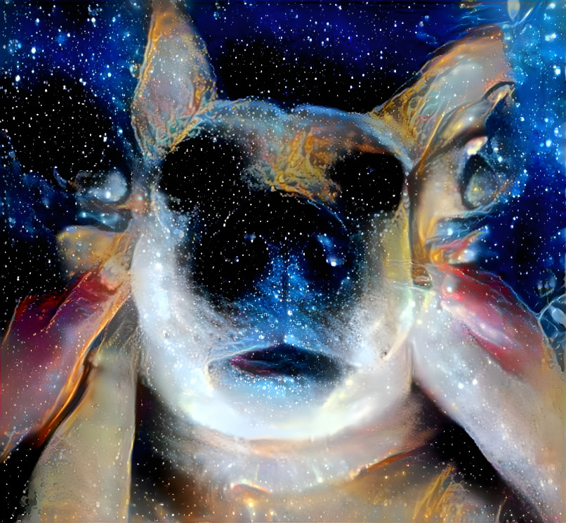 space puppy