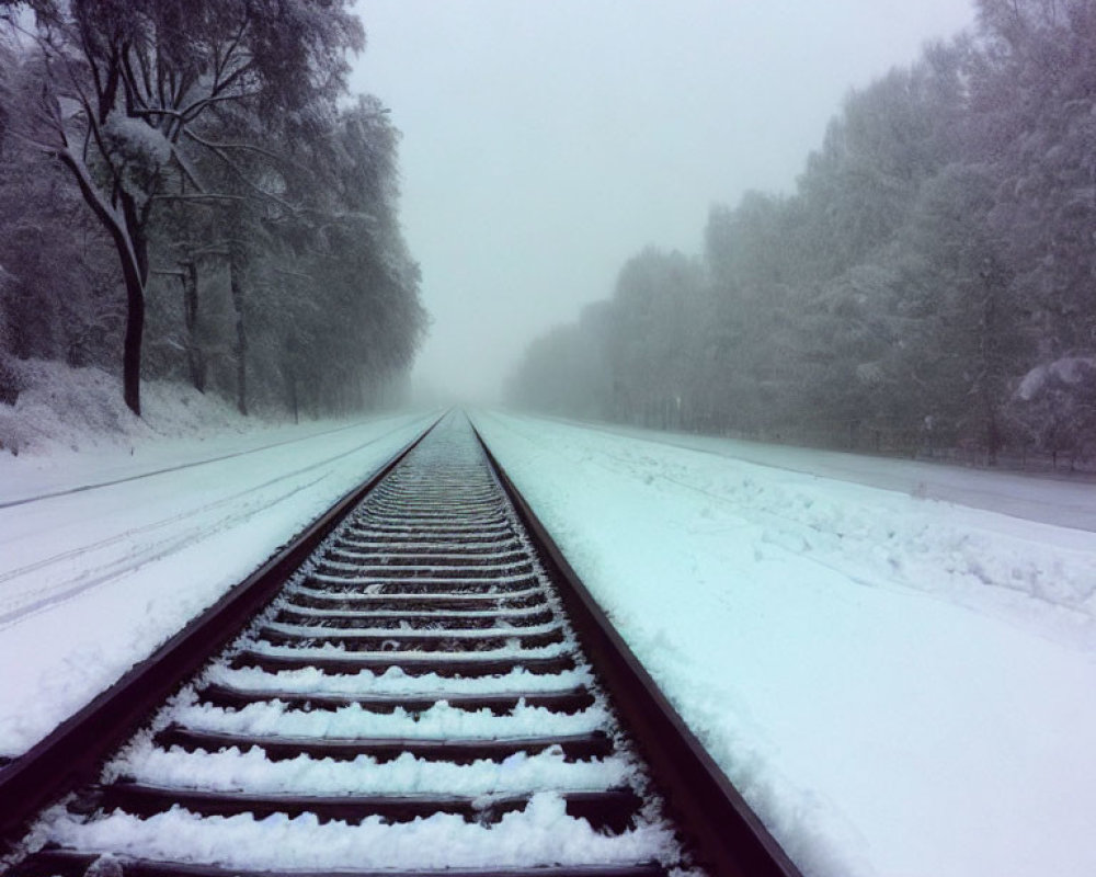 Snow-covered railroad tracks disappearing into foggy distance surrounded by snowy trees.