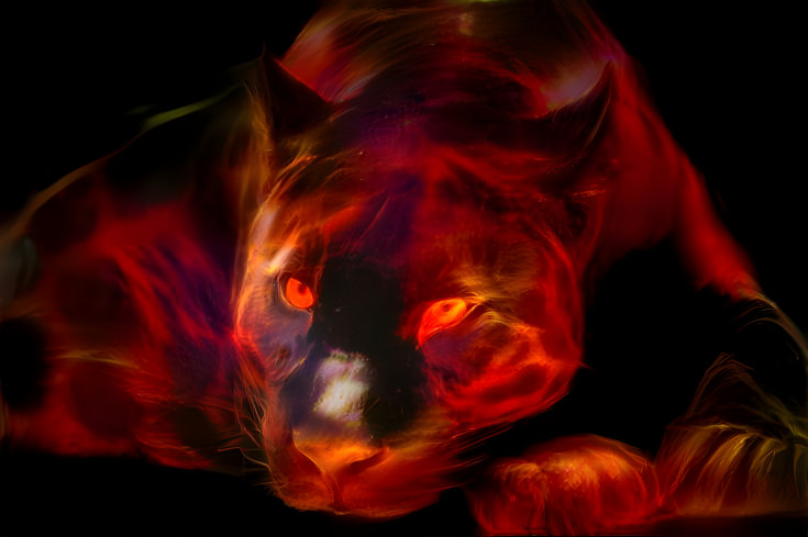 panther on fire