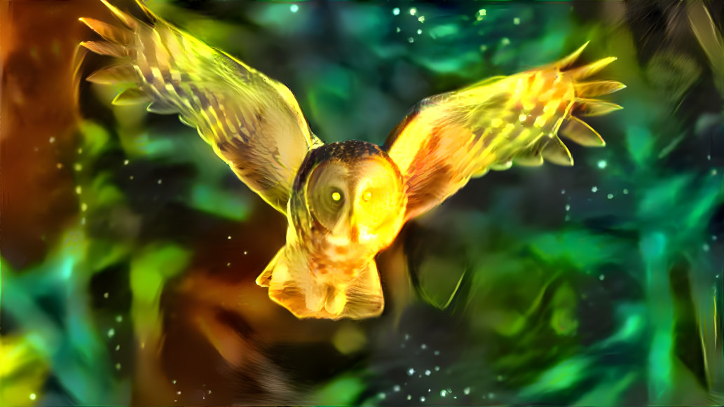 owl magic
