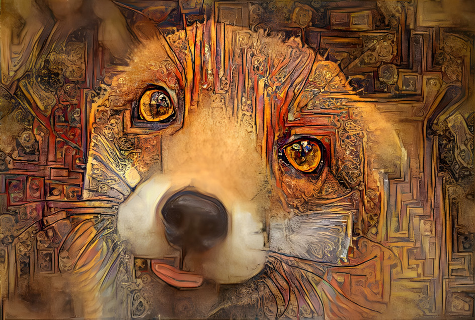 fox art 