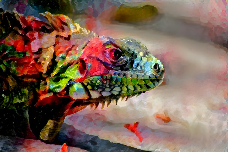 colorful lizard