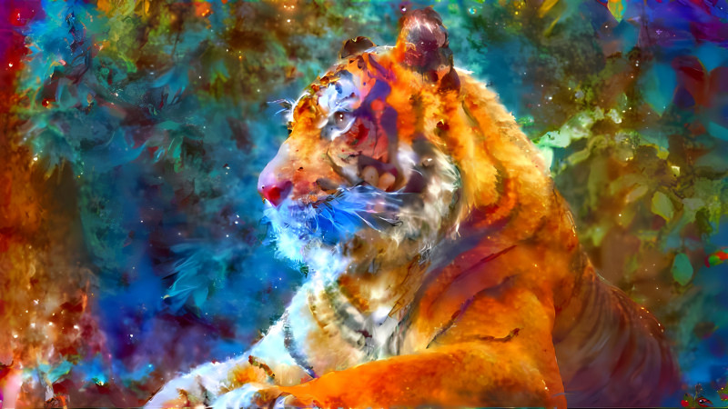 tiger space