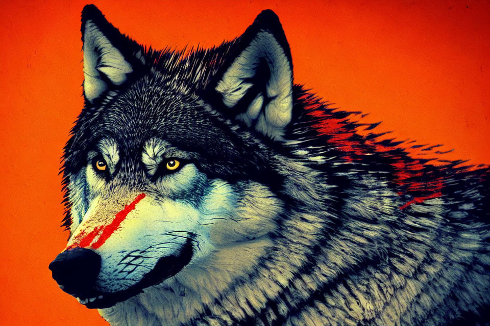 Digital painting of wolf with yellow eyes and red mark on snout on orange background