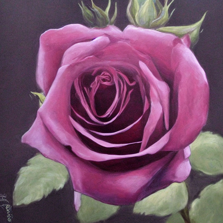 Vibrant purple rose painting on dark background