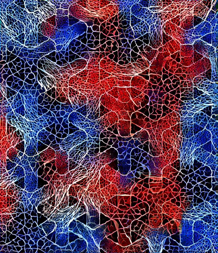 Trellis red blue web