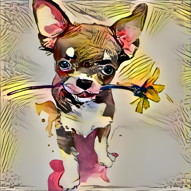 Chihuahua Puppy Flower Power