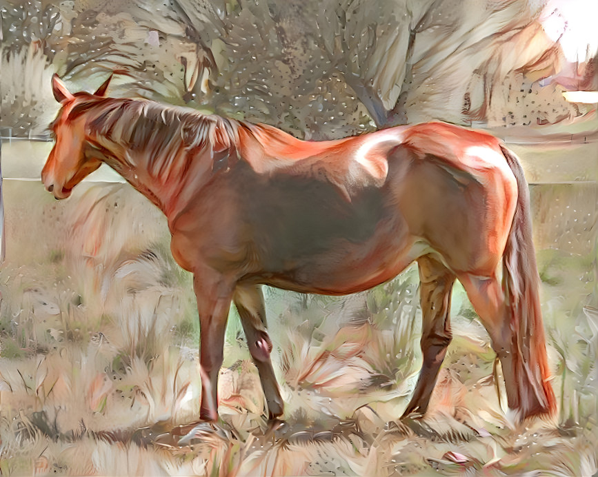 The Mammal Horse