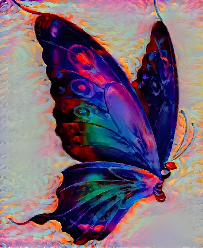 Hot Butterfly 