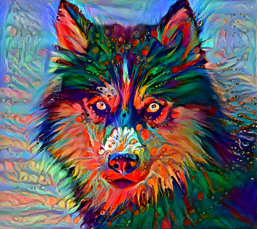 Coloured wolf