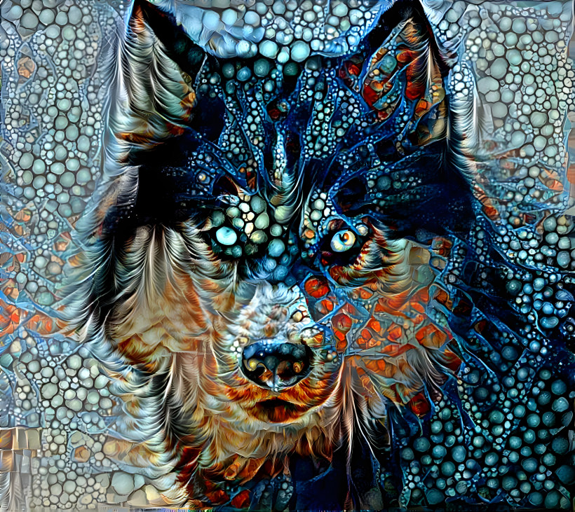 Tantric wolf