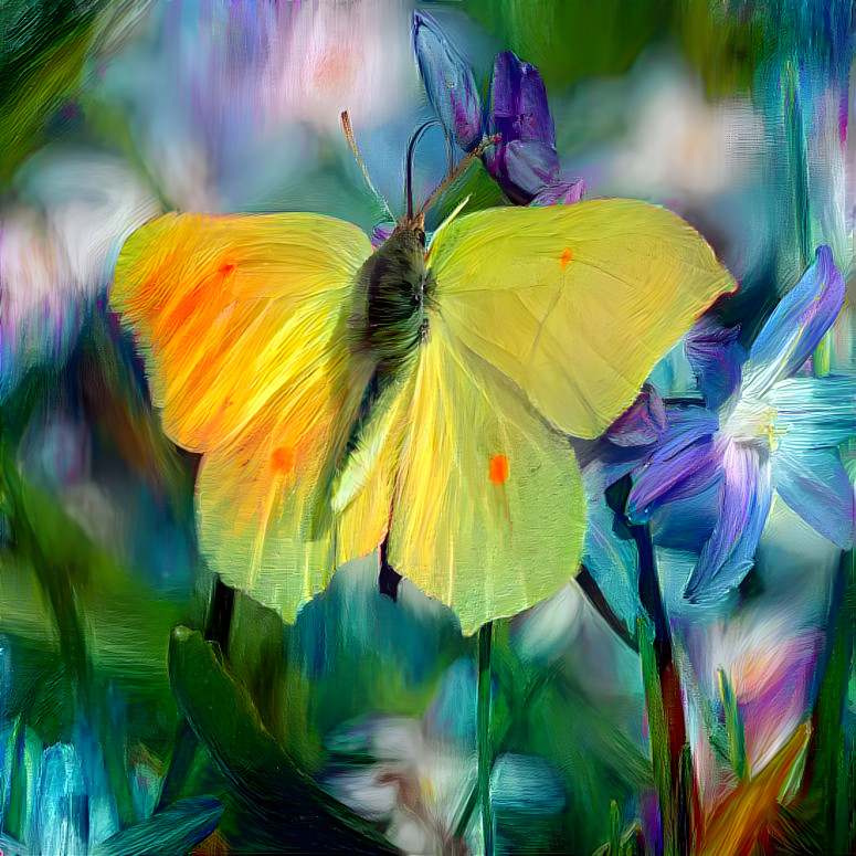 Schmetterling butterfly abstrakt