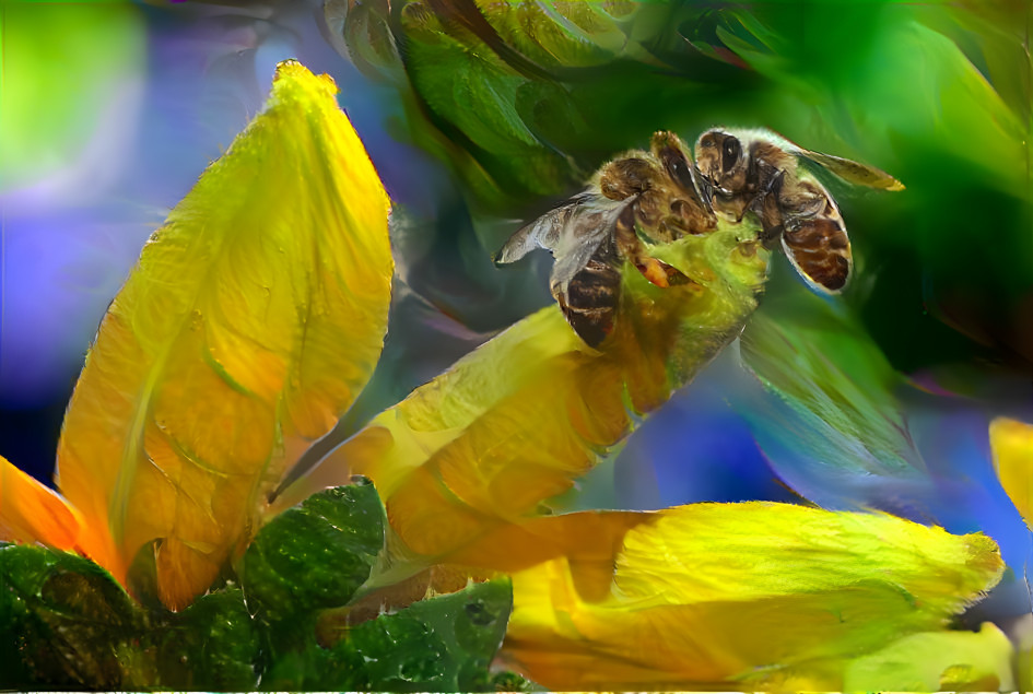  Bienenpaar auf einer Blüte