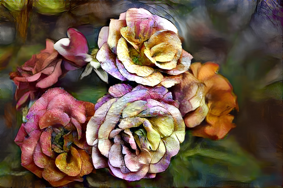 Rosen  bunt abstrakt