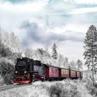 Vintage steam train in snowy mountain landscape with tall pines & cabin