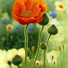 Colorful watercolor painting of blooming orange poppy in nature