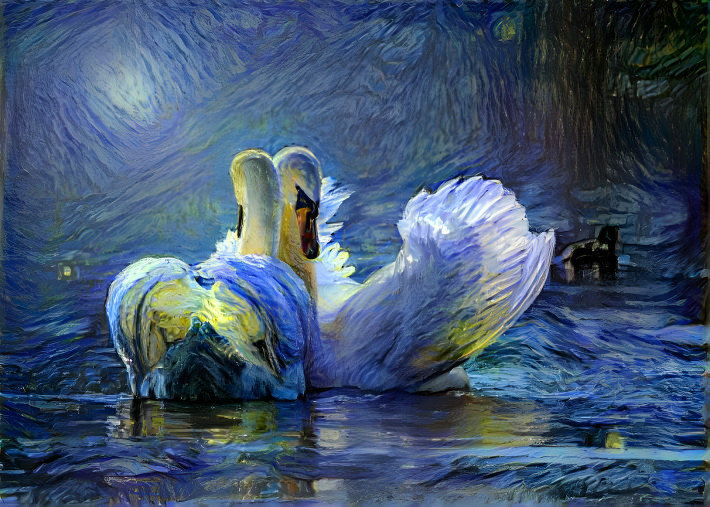 Starry Swans