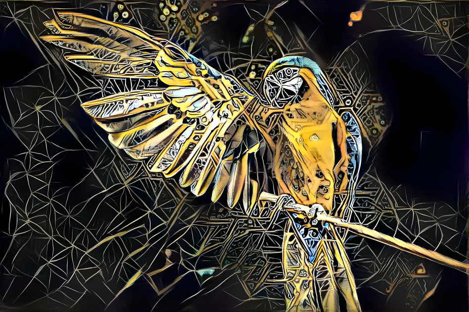 Abstract Parrot