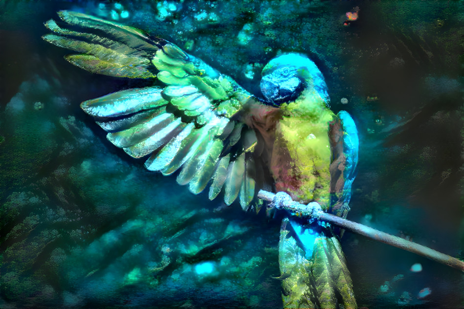 Aqua Parrot