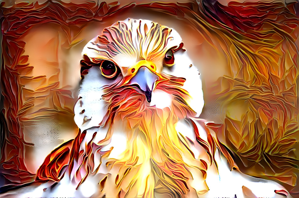 Fiery Hawk