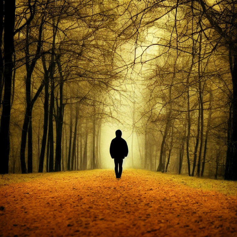 Solitary figure walking on misty, tree-lined path with orange leaves