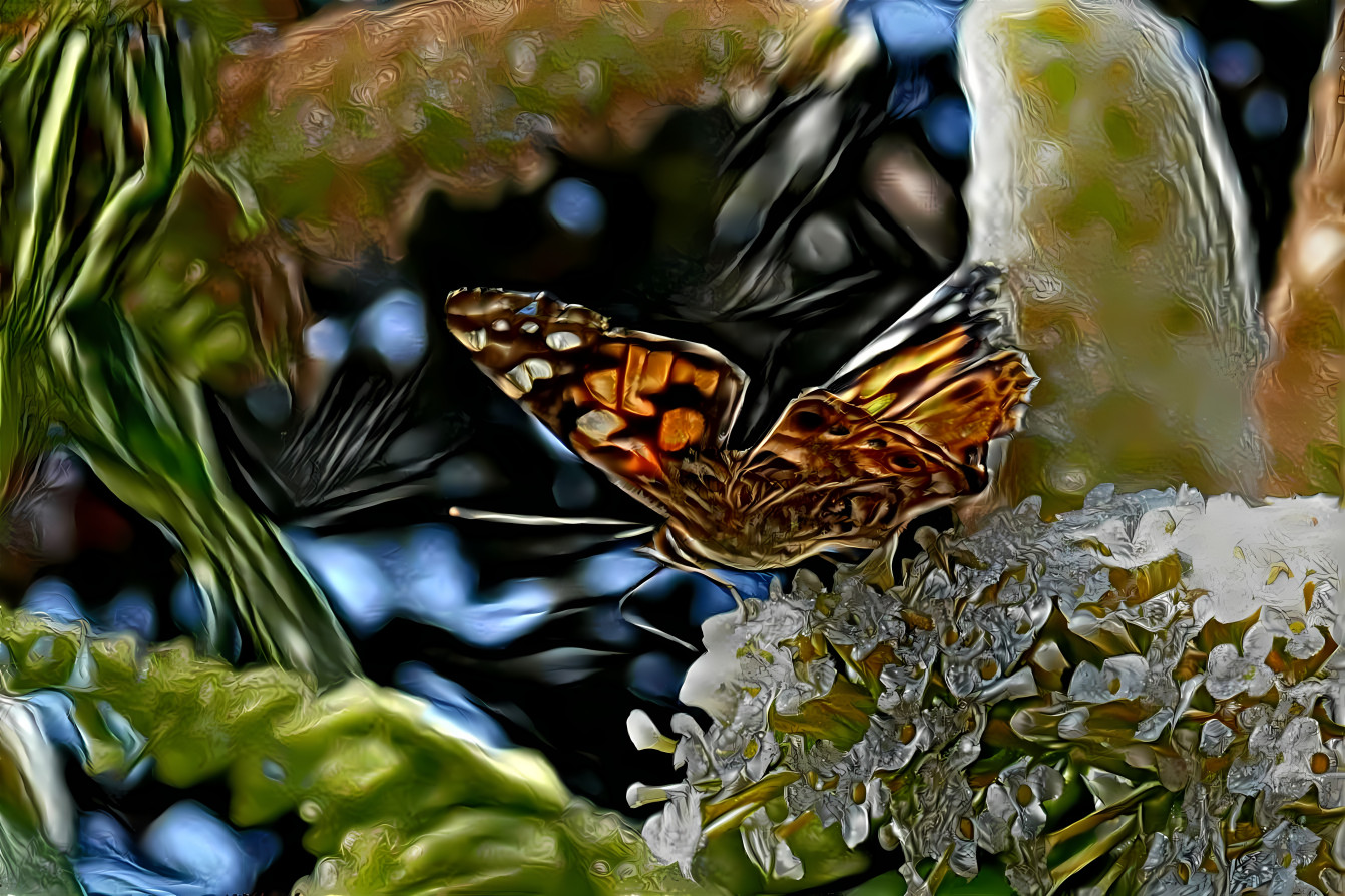 Schmetterling im Abflug
