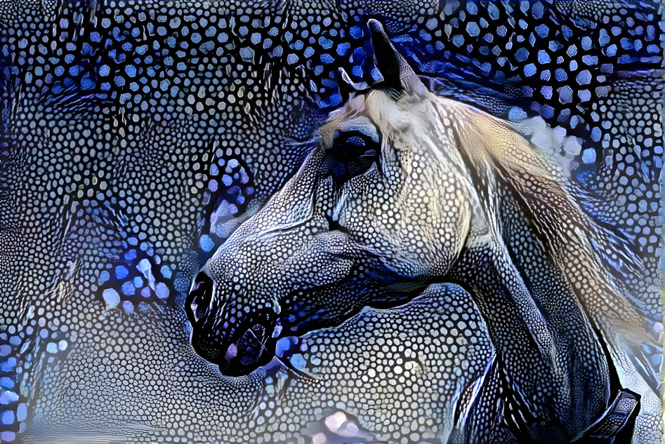 once upon a horse