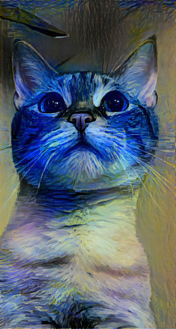 Cat in Blue