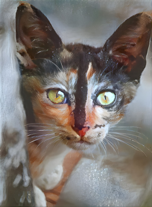 Painted Cat #2