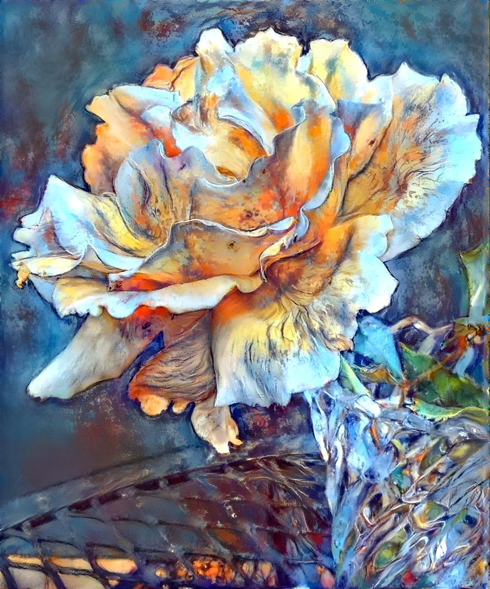 Fragrant Rose