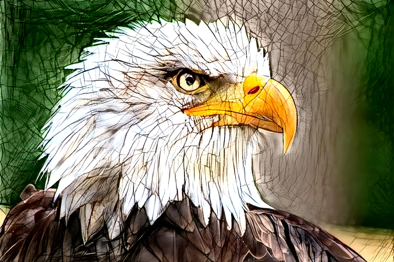 Gorgeous Eagle
