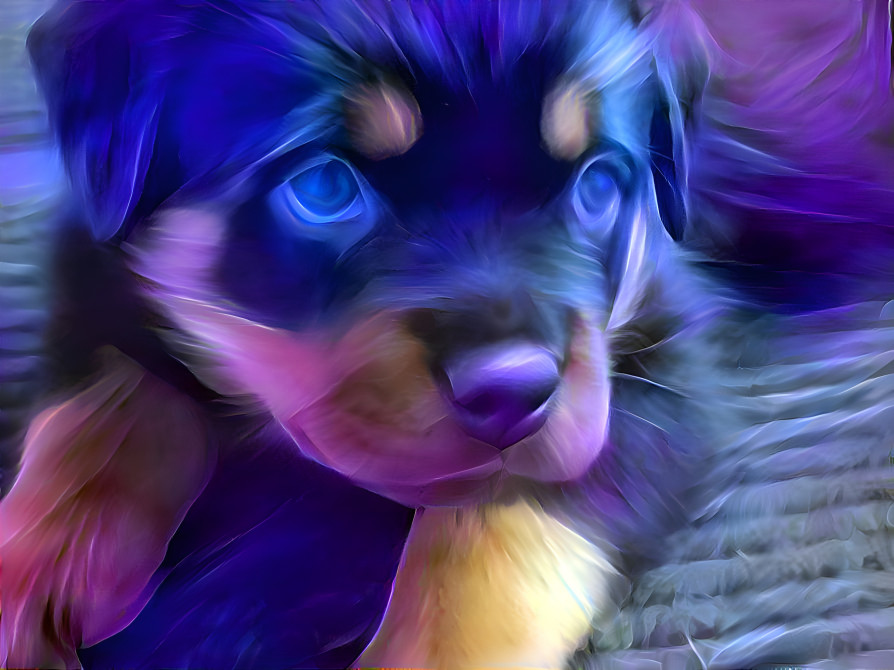 Blue Puppy 