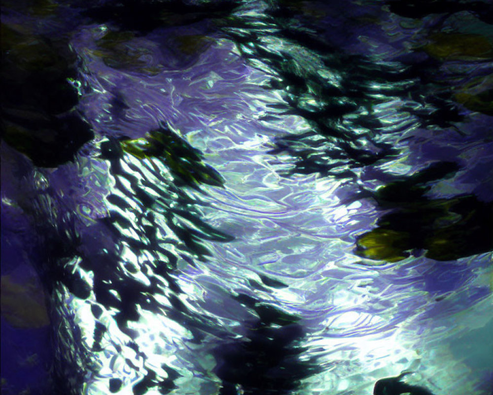 Underwater View: Shimmering Light Reflections on Blue and Purple Waves