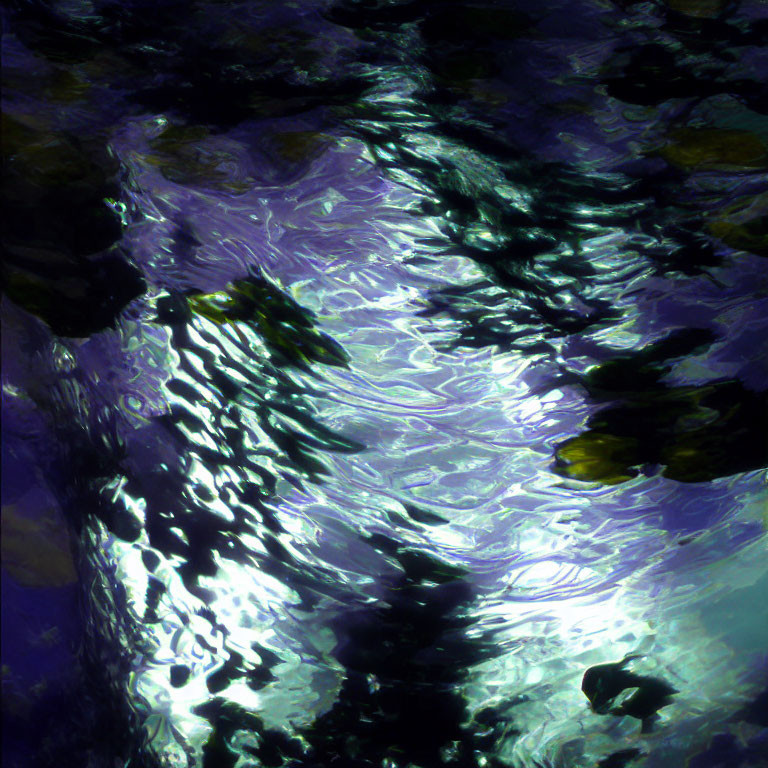 Underwater View: Shimmering Light Reflections on Blue and Purple Waves