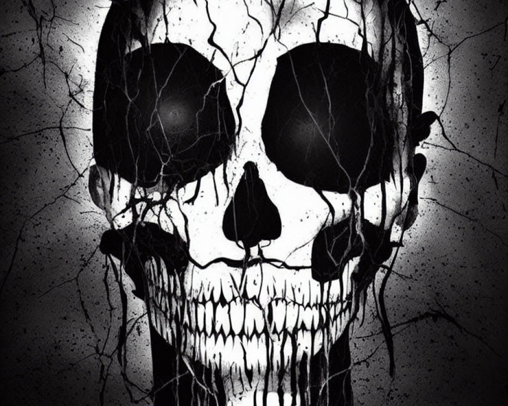 Monochrome skull graphic on textured dark background
