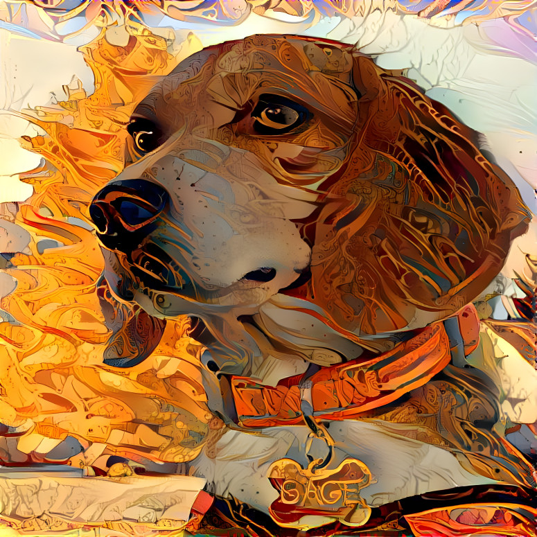 Beagle on a fall day
