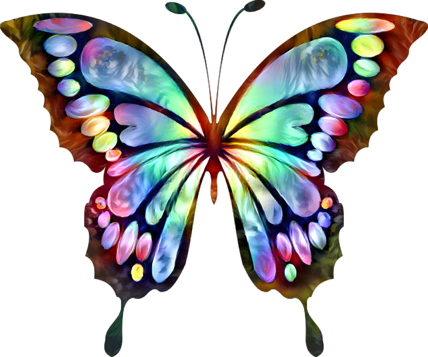 Radiant butterfly 