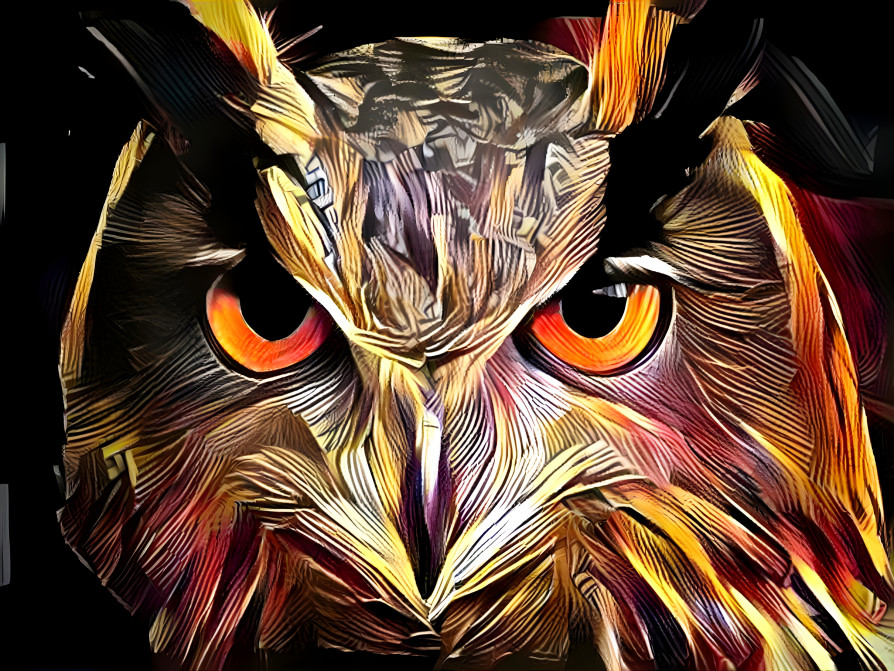 Owls Eyes