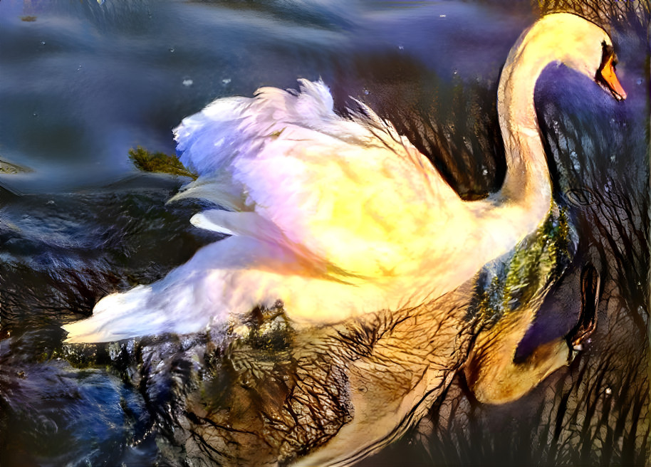 Picture Swan